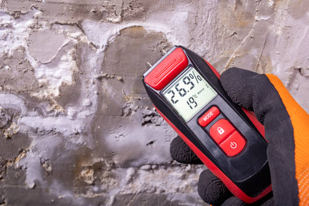 Best Kitchen Mold Remediation in Prince George, VA