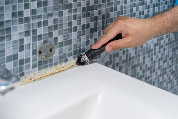 Best Residential Mold Remediation in Prince George, VA