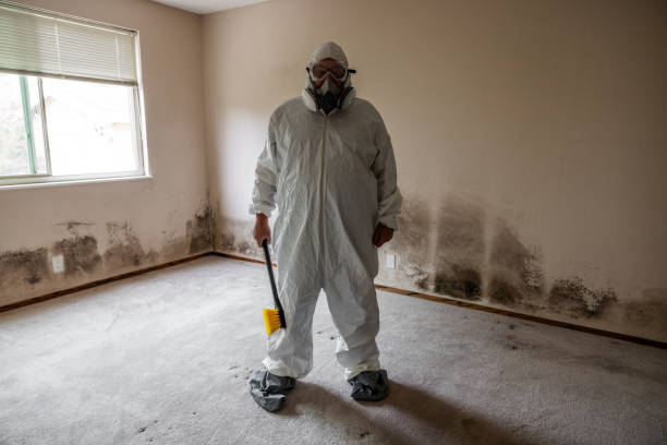 Best Mold Remediation for Specific Building Types in Prince George, VA
